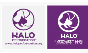 Halo自然光环进入中国五周年：构建有爱有趣的宠物生活