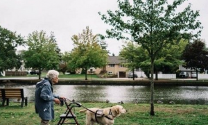 原以为人生将近 92岁阿婆惊喜相遇狗儿子