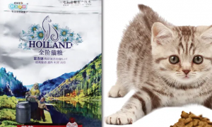 新宠之康猫粮与宠物营养补充剂怎么样？