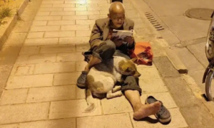 老人在道路路灯下边看书，腿边还偎依着一只小狗，一人一狗，却享余生