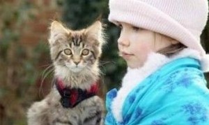 一个5岁的自闭症女孩和一只猫咪之间的感人故事