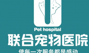 联合宠物医院：关乎宠物健康的全能守护者