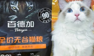 百德加烘焙猫粮怎么样？你知道吗？