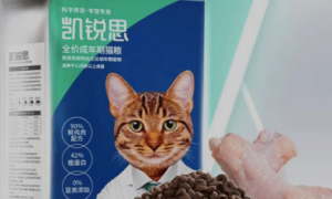 拒绝“养宠焦虑”！凯锐思猫粮帮助你健康养宠！