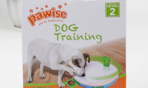 pawise（惠宝) 宠物用品，给宠物快乐的生活