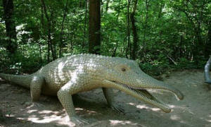 昔日湖泊中的顶级猎食者——狂齿鳄，感兴趣的了解一下！