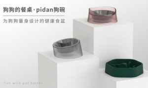 pidan狗碗新品上线 品牌布局多向发展