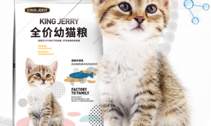 kingjerry一个让猫咪“爱不释手”的宠物猫粮品牌