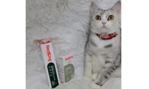 优宠乐——猫用化毛膏品牌怎么选