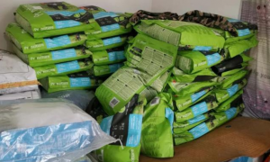 加拿大枫趣捐助19吨价值百万进口猫狗粮已送达救助站