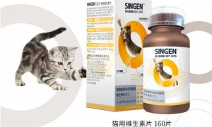 “国际猫咪节”猫咪产品走红 信元发育宝营养品受青睐