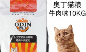 如何挑选到合适的猫粮？奥丁猫粮怎么样？