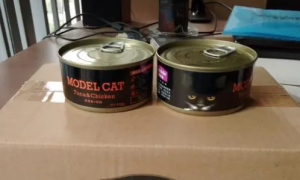 猫咪到底是吃干猫粮好，还是吃猫罐头好？