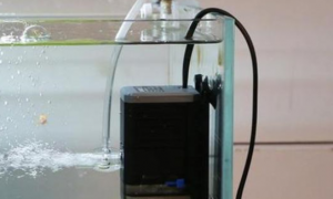 鱼缸增氧泵的原理