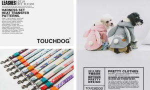 宠物用品品牌「Touchdog 它它」获数千万元 Pre-A 轮融资