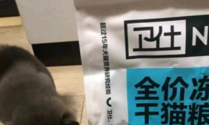 热门猫粮品牌实测——卫仕五拼冻干猫粮