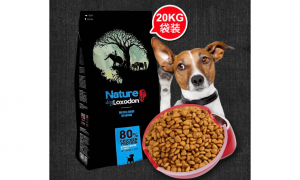 象族狗粮分享：如何给肠胃敏感的狗狗选择合适的狗粮