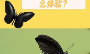 玉带凤蝶多少钱一只？有没有想养蝴蝶的？