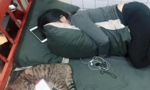 小主人抱着枕头睡觉，猫咪抱着卫生纸睡觉，一人一猫好有爱