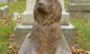 这只狗狗已经去世100年，但现在还有人带着它最爱的玩具看望它