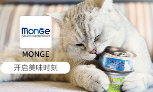 梦吉MONGE是什么牌子-梦吉猫罐头怎么样-梦吉猫罐头是主食罐吗