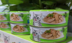 猫森林宠物店-猫森林零食-猫咪森林猫舍官网