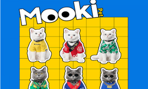 mookipet官网-mookipet宠物衣服好看吗-mookipet是什么品牌