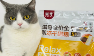滋奇猫粮是哪里的品牌-滋奇猫粮到底怎么样-滋奇猫粮官网