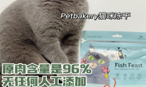 猫盼猫粮产地-猫盼猫粮生产厂家-猫盼猫粮官网