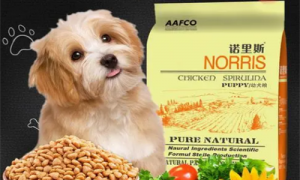 诺里斯犬粮简介-诺里斯犬粮测评-诺里斯犬粮真假对比