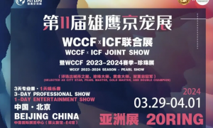 宠爱国际×WCCF国际纯种猫品鉴赛｜期待在京宠展现场与大家相见！