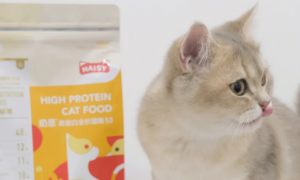 猫咪主粮升级全营养，奶思猫粮5.0版！