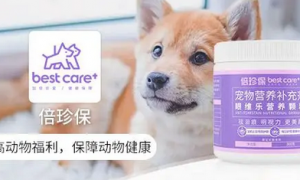 倍珍保明日亮相成都“中国宠物医疗第一展” ， 联合发布《2021宠物医疗行业白皮书》