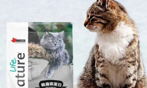 枫趣猫粮属于什么档次，枫趣猫粮属于什么档次的品牌？