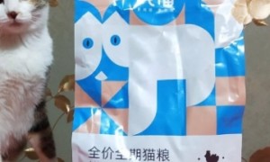 国产猫粮评测：纯福猫粮