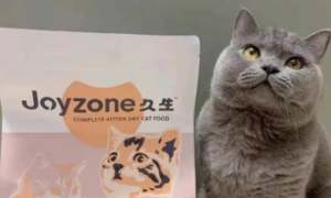 国产猫粮测评：久生猫粮2.0