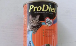 ProDiet博黛：猫罐头鉴定指南