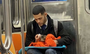 地铁上最萌的风景！对面毯子钻出一只小奶猫，暖男细心喂奶