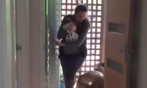 两只狼犬守门口迎接刚出院的妈妈，第一次见到宝宝的反应令人暖哭