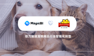 天元宠物签约MagicBI,用搜索式BI重塑宠物用品行业数字化转型