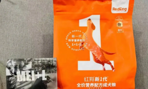 “交个朋友”探访红狗超级工厂，红狗旗下原粹时代主粮新品上市