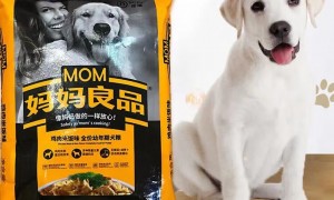妈妈良品狗粮：为宠物提供健康与营养