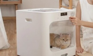 鸟语花香自然风宠物智能烘干箱：科技助力宠物清洁进入智能家居时代