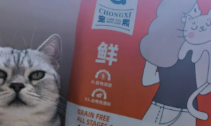 宠熙烘焙猫粮｜国产猫粮数据分析评测推荐
