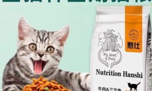 憨仕猫粮：满足猫咪挑剔味蕾的高品质之选