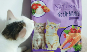 桃瑞斯猫粮是国产的吗