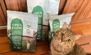 openfarm猫粮属于什么档次