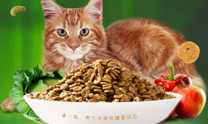 麦大林猫粮好吗