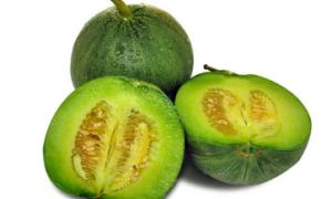 绿宝甜瓜种植技术与管理