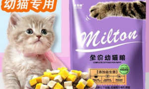米尔顿猫粮多少钱